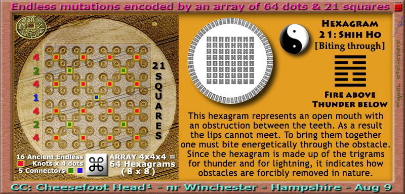 Cheesefoot Head (1), Hampshire crop circle, aerial photo 36