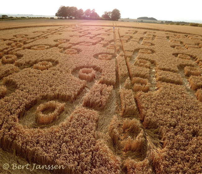Cheesefoot Head (1), Hampshire crop circle, aerial photo 61