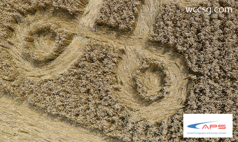 Cheesefoot Head (1), Hampshire crop circle, aerial photo 14