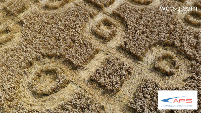 Cheesefoot Head (1), Hampshire crop circle, aerial photo 13