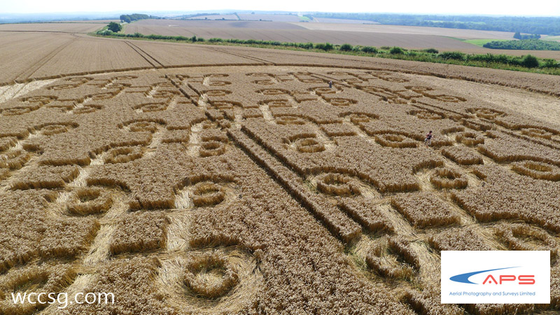Cheesefoot Head (1), Hampshire crop circle, aerial photo 12