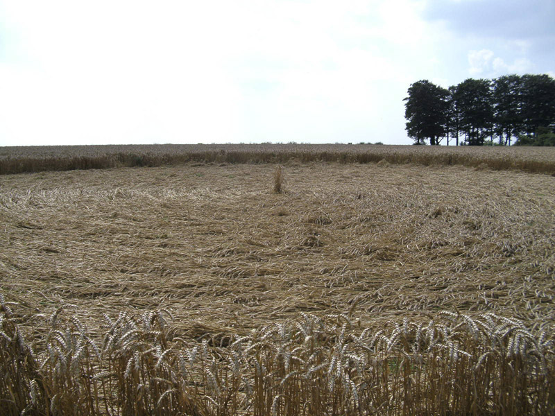 Cheesefoot Head (2), Hampshire crop circle, aerial photo 17