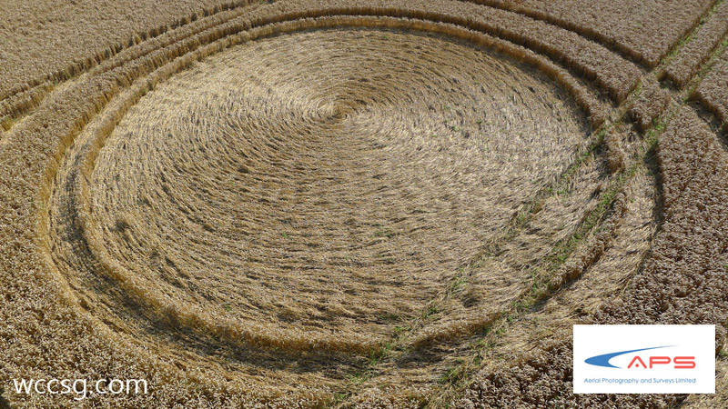 Cheesefoot Head (2), Hampshire crop circle, aerial photo 8