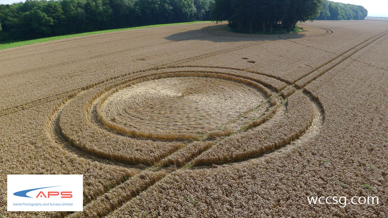 Cheesefoot Head (2), Hampshire crop circle, aerial photo 7