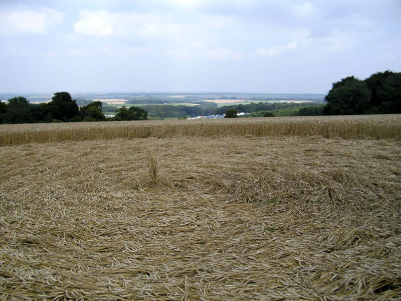 Cheesefoot Head (2), Hampshire crop circle, aerial photo 16