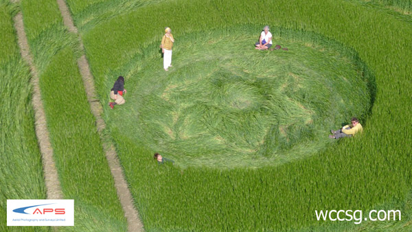 Cherhill, Wiltshire crop circle, aerial photo 7