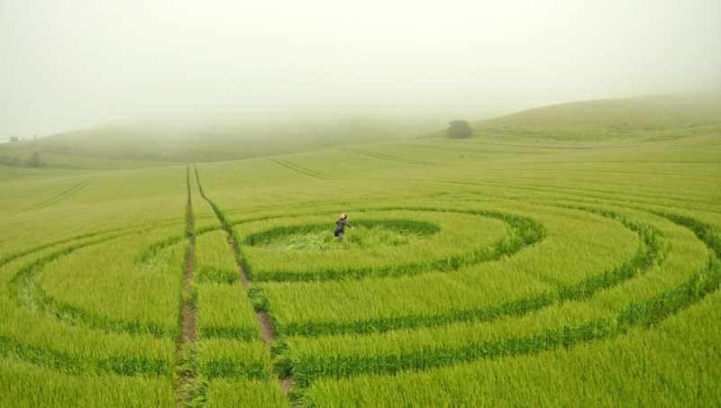 Cherhill, Wiltshire crop circle, aerial photo 28