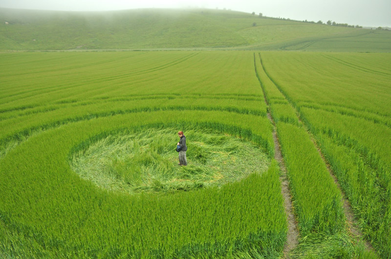 Cherhill, Wiltshire crop circle, aerial photo 29
