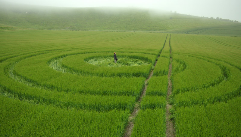 Cherhill, Wiltshire crop circle, aerial photo 25