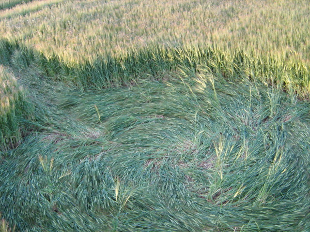 Chilcomb Down, Hampshire crop circle, aerial photo 31