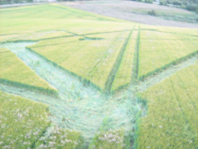 Chilcomb Down, Hampshire crop circle, aerial photo 34