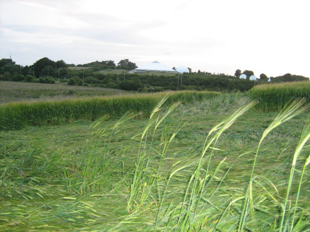 Chilcomb Down, Hampshire crop circle, aerial photo 45
