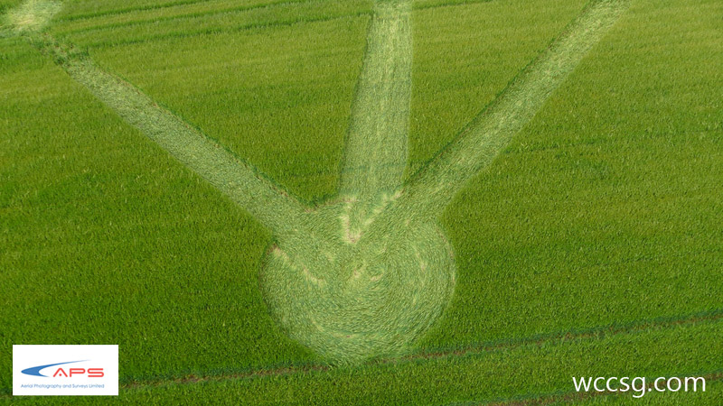 Chilcomb Down, Hampshire crop circle, aerial photo 8