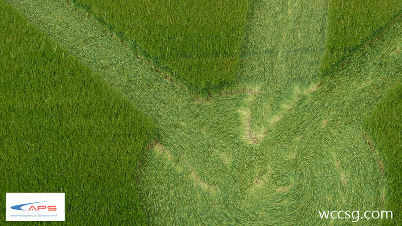 Chilcomb Down, Hampshire crop circle, aerial photo 9