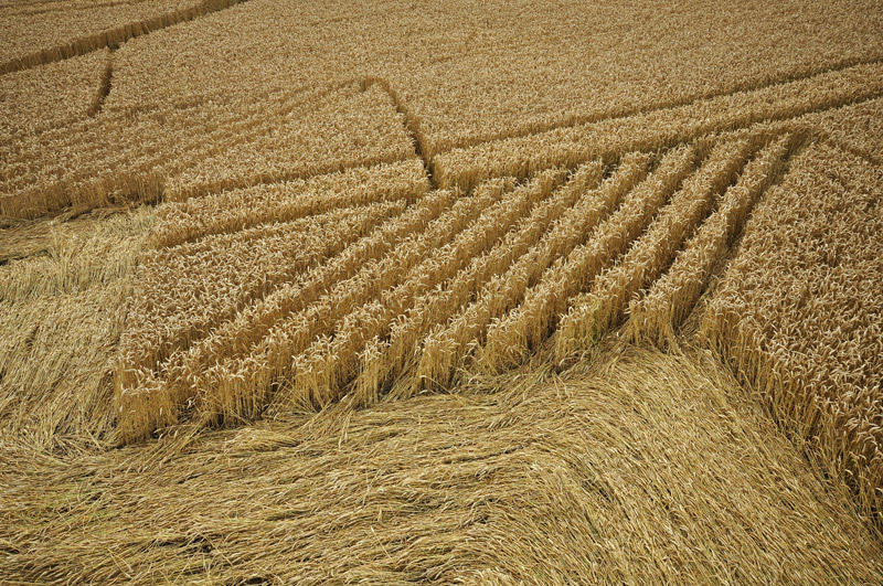 Devil's Den, Wiltshire crop circle, aerial photo 38
