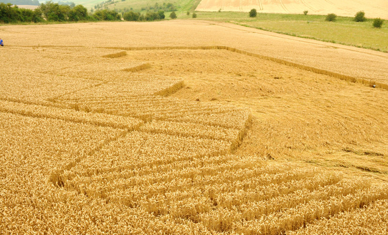 Devil's Den, Wiltshire crop circle, aerial photo 33