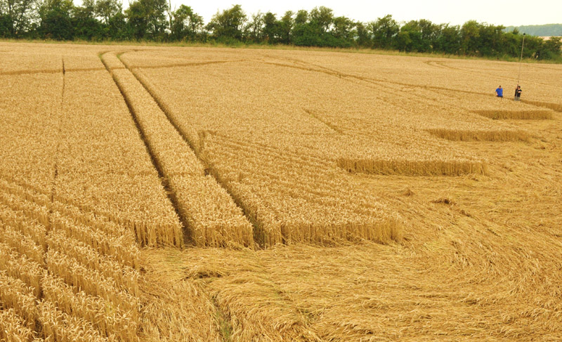 Devil's Den, Wiltshire crop circle, aerial photo 32
