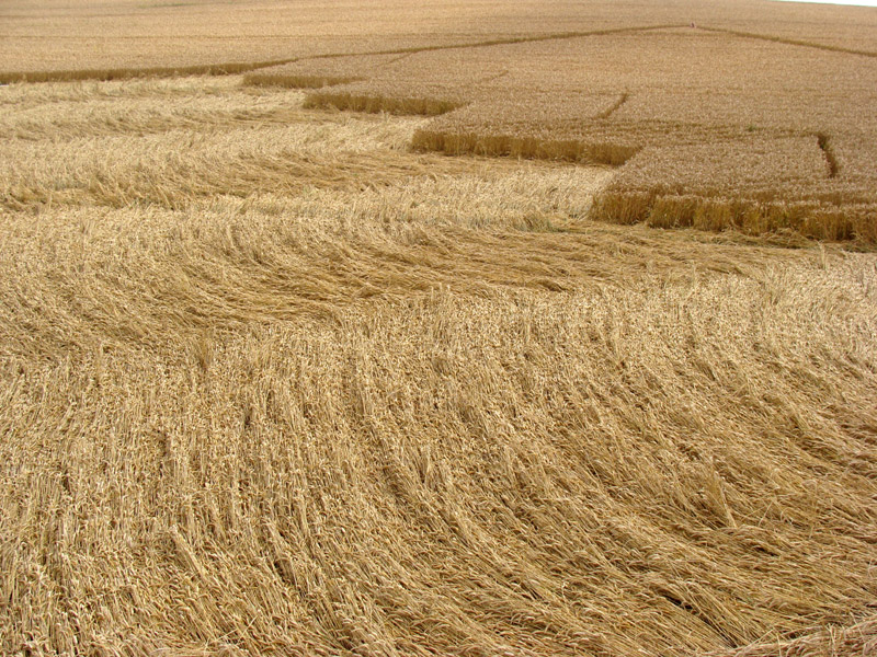 Devil's Den, Wiltshire crop circle, aerial photo 44