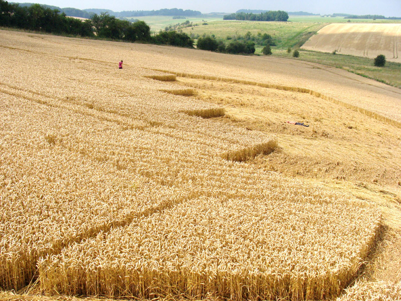 Devil's Den, Wiltshire crop circle, aerial photo 47