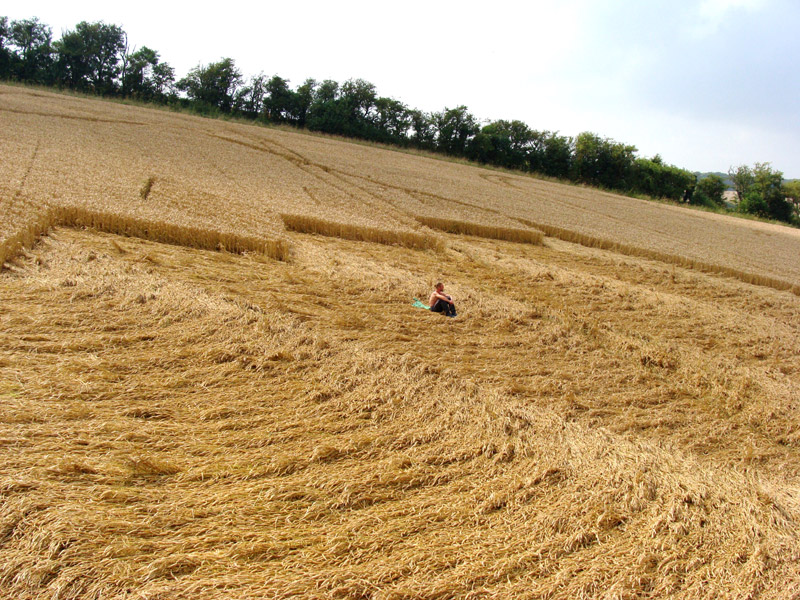 Devil's Den, Wiltshire crop circle, aerial photo 48