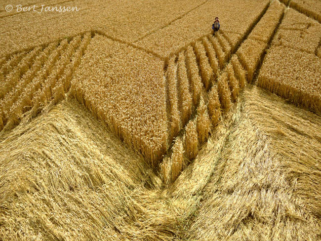 Devil's Den, Wiltshire crop circle, aerial photo 39