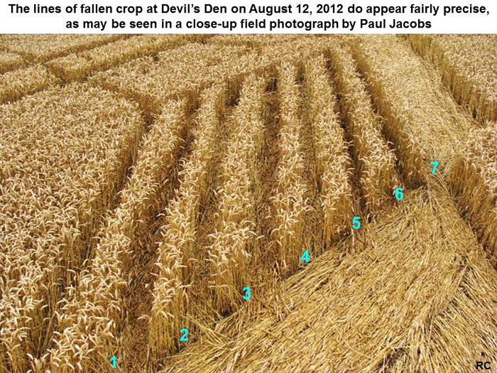 Devil's Den, Wiltshire crop circle, aerial photo 14