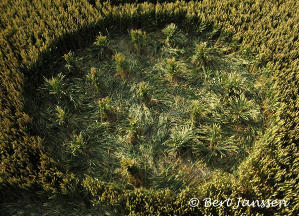 Fox Hill, Wiltshire crop circle, aerial photo 25