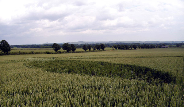 Golden Ball Hill, Wiltshire crop circle, aerial photo 14