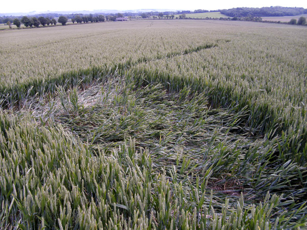 Golden Ball Hill, Wiltshire crop circle, aerial photo 15