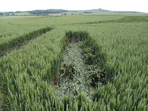 Golden Ball Hill, Wiltshire crop circle, aerial photo 19