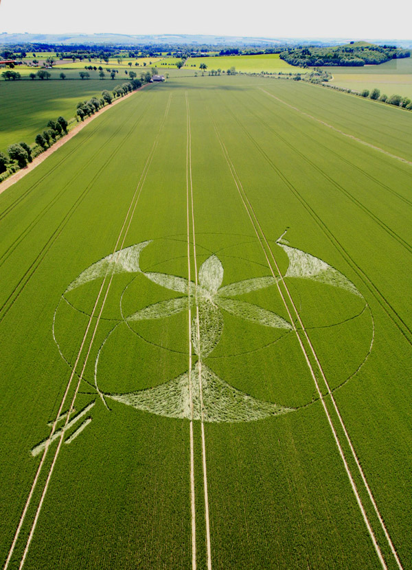 Golden Ball Hill, Wiltshire crop circle, aerial photo 6