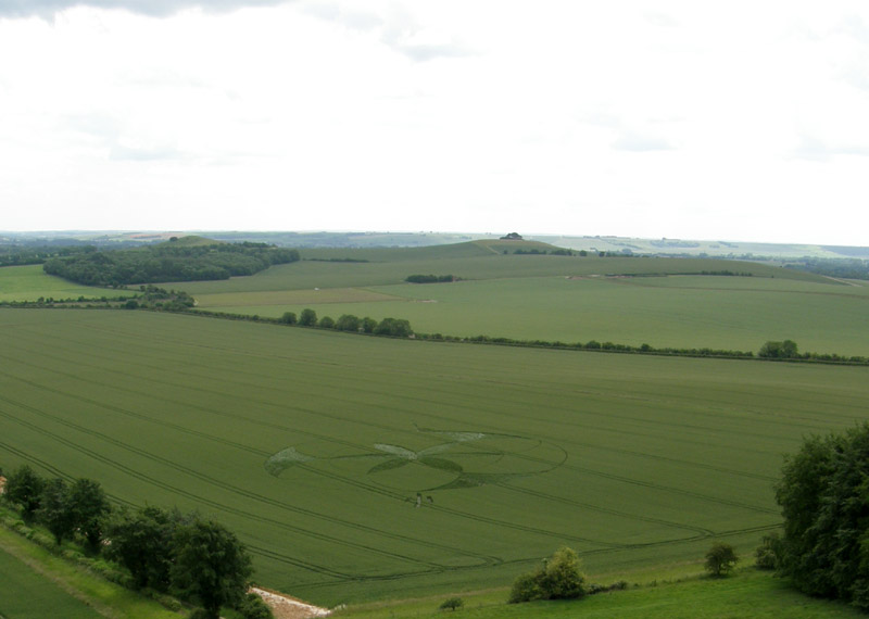 Golden Ball Hill, Wiltshire crop circle, aerial photo 21