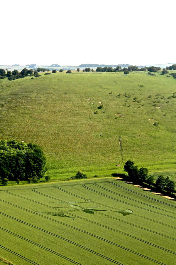 Golden Ball Hill, Wiltshire crop circle, aerial photo 2