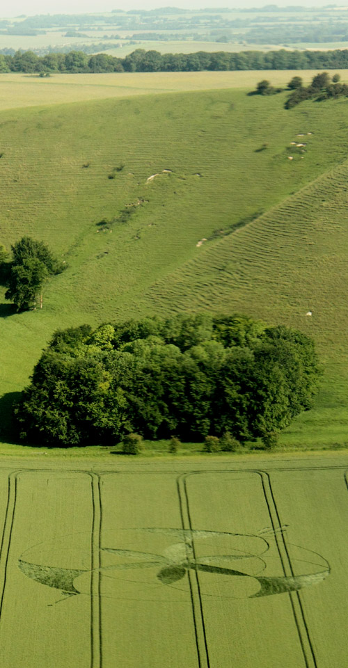 Golden Ball Hill, Wiltshire crop circle, aerial photo 4