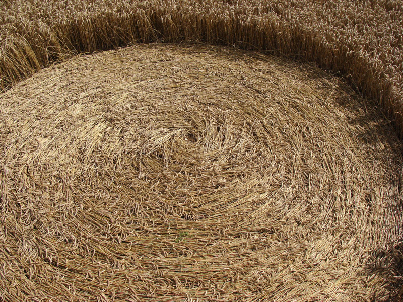 Hackpen Hill (1), Wiltshire crop circle, aerial photo 7