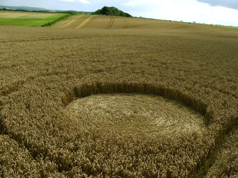 Hackpen Hill (1), Wiltshire crop circle, aerial photo 5