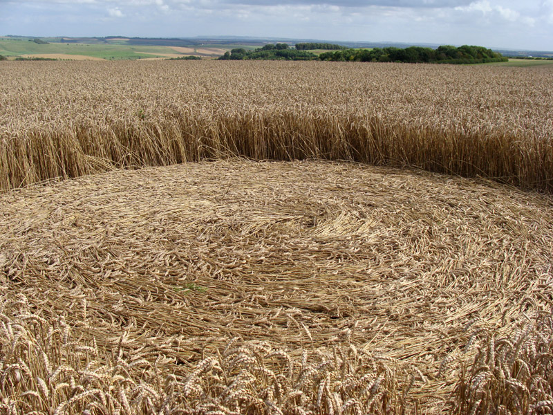 Hackpen Hill (1), Wiltshire crop circle, aerial photo 6