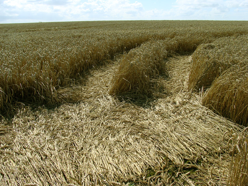 Hackpen Hill (1), Wiltshire crop circle, aerial photo 15