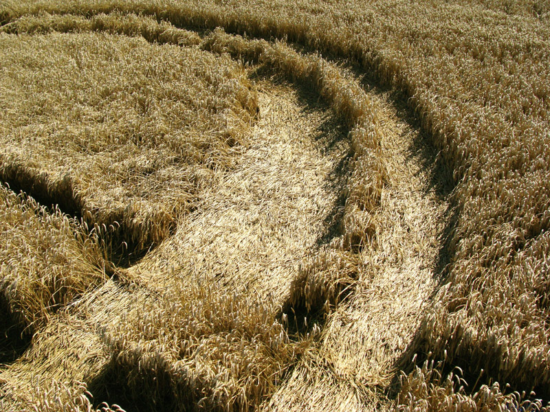 Hackpen Hill (1), Wiltshire crop circle, aerial photo 18