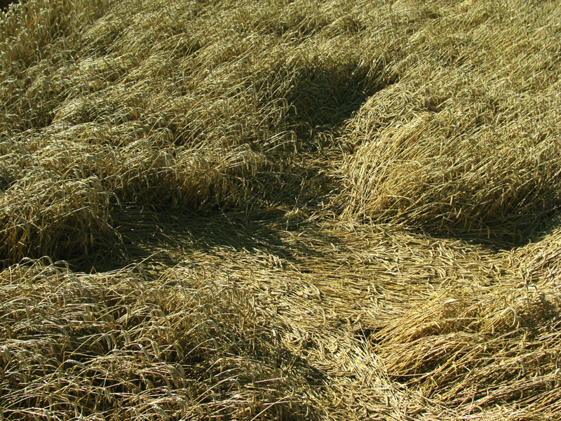 Hackpen Hill (1), Wiltshire crop circle, aerial photo 20