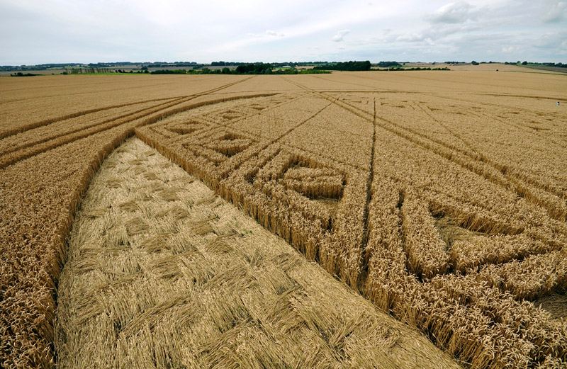Hackpen Hill (3), Wiltshire crop circle, aerial photo 103