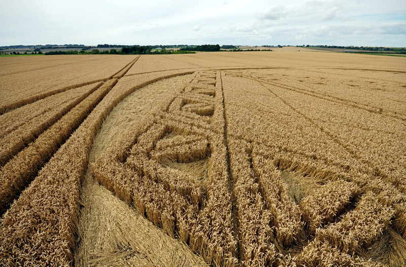 Hackpen Hill (3), Wiltshire crop circle, aerial photo 102