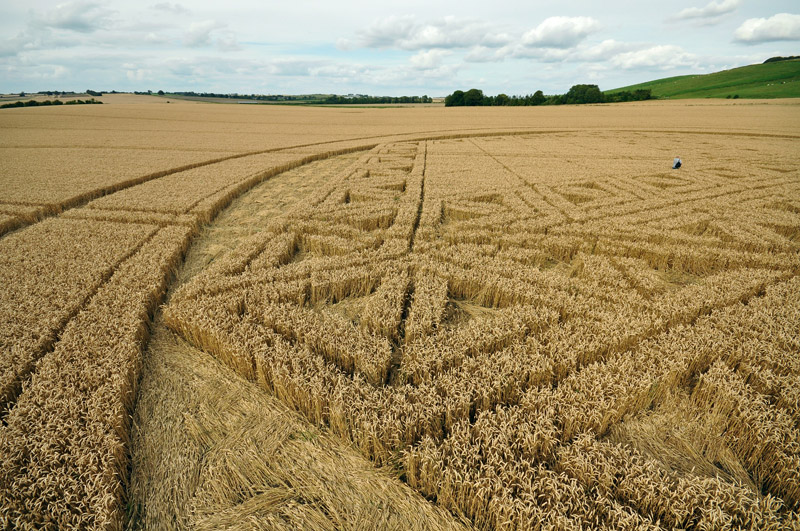 Hackpen Hill (3), Wiltshire crop circle, aerial photo 101