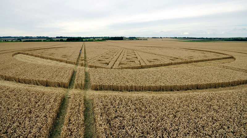 Hackpen Hill (3), Wiltshire crop circle, aerial photo 107