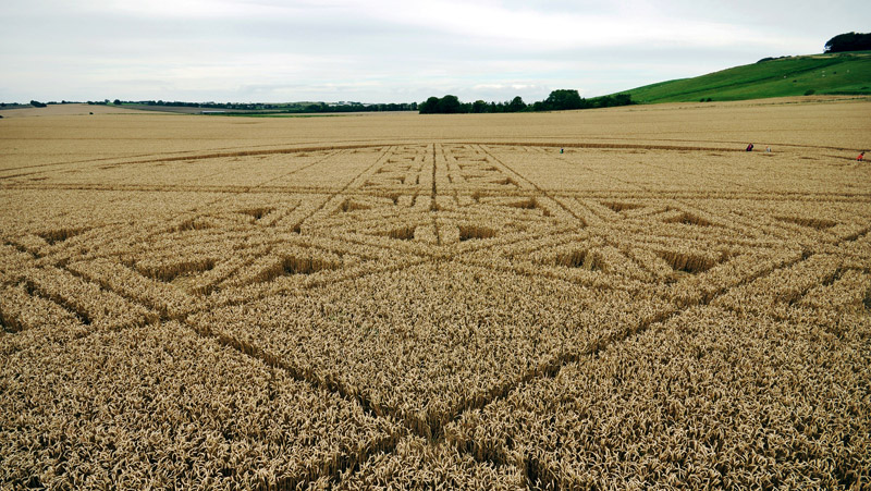 Hackpen Hill (3), Wiltshire crop circle, aerial photo 105