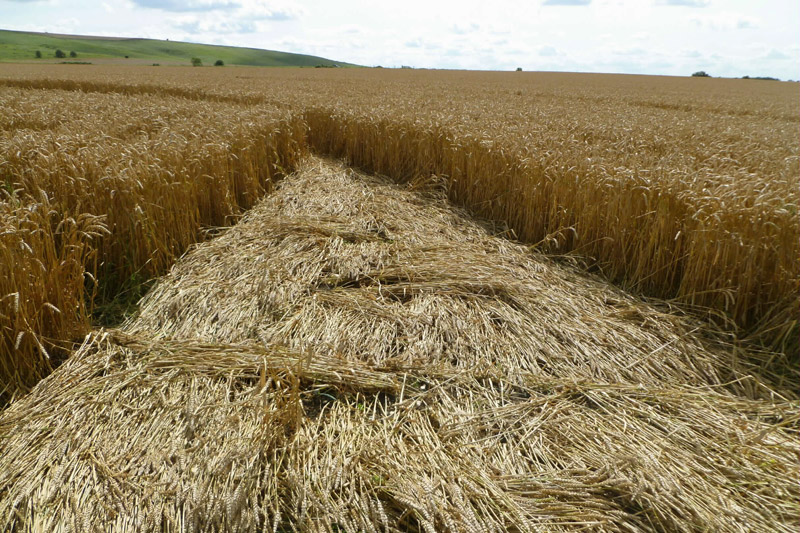 Hackpen Hill (3), Wiltshire crop circle, aerial photo 177
