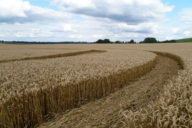 Hackpen Hill (3), Wiltshire crop circle, aerial photo 180