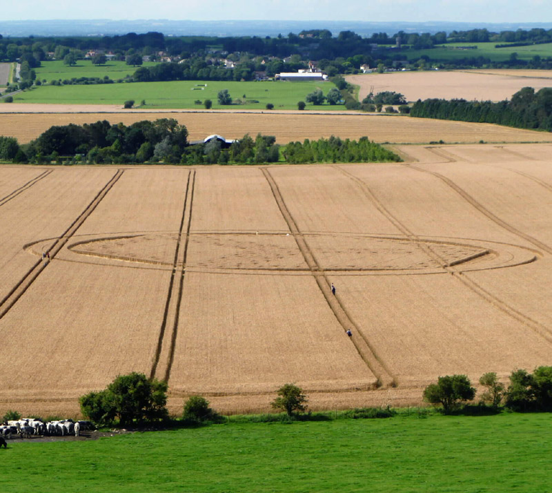 Hackpen Hill (3), Wiltshire crop circle, aerial photo 174