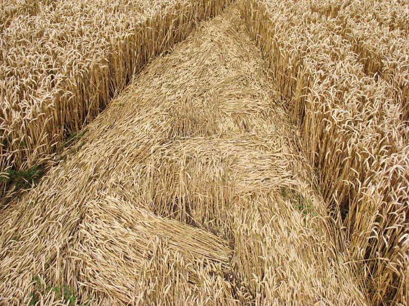 Hackpen Hill (3), Wiltshire crop circle, aerial photo 113