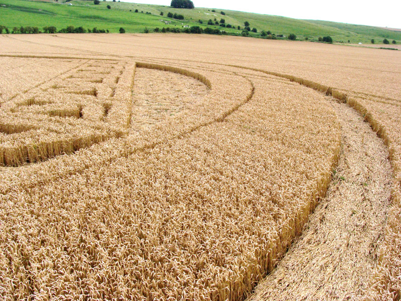 Hackpen Hill (3), Wiltshire crop circle, aerial photo 112